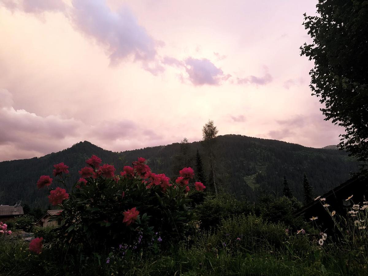 Bed and Breakfast Le Castor Morgins Exterior foto