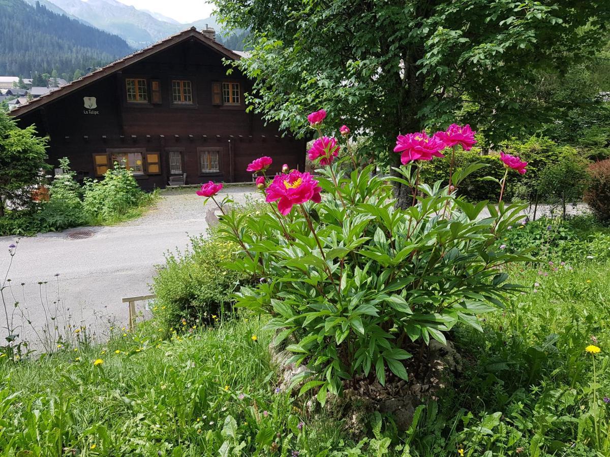 Bed and Breakfast Le Castor Morgins Exterior foto